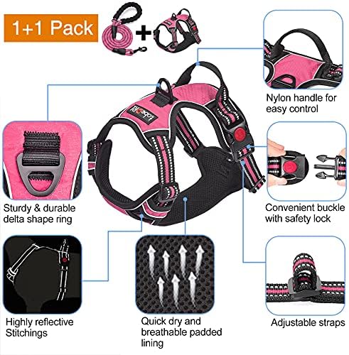 tobeDRI No Pull Dog Harness Adjustable Reflective Oxford Easy Control Medium Large Dog Harness with A Free Heavy Duty 5ft Dog Leash, Pink, L