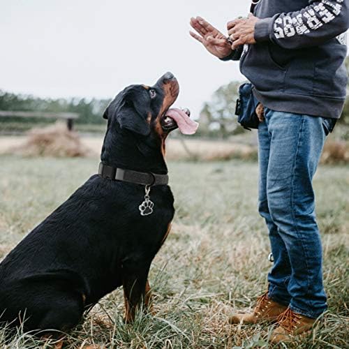 Dog Collar Waterproof Pet Collars,Neck Adjustable Silicone Dog Collar with Strong Coated Webbing and Cute Metal Pendant for Boy Girls Dog Collars S/M/L Sizes