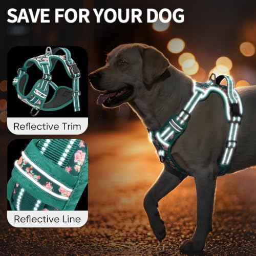 HEELE Dog Harness, Reflective, No Pull No Choke, Flower Grass Green, XL