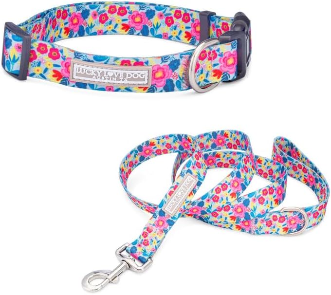 Lucky Love Dog Collar and Leash Set for Small Dogs Cute – Valentina, Small