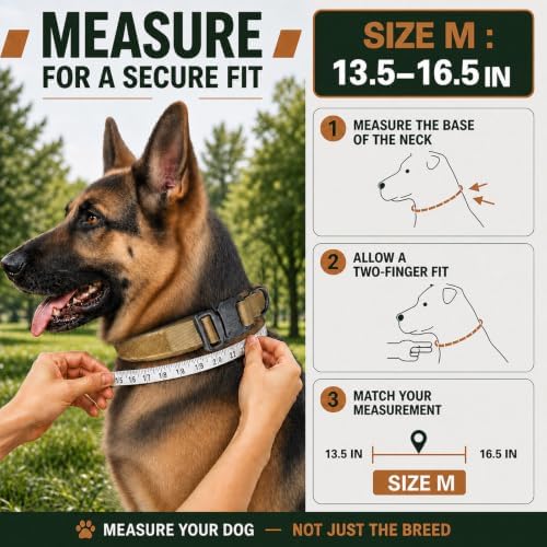 Tactical Dog Collar with Handle, Heavy Duty Nylon for Medium Dogs