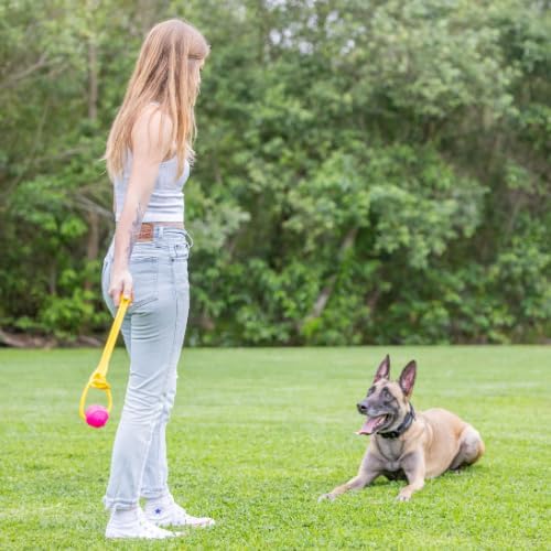 PROJECT HIVE ·PET COMPANY· Looped Ball 2 Pack-SM-Pink/Blue