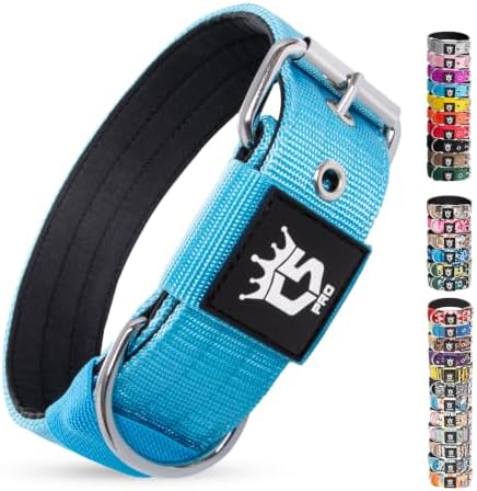 TSPRO Heavy Duty Thick Dog Collar with Metal Buckle for Large Dogs
