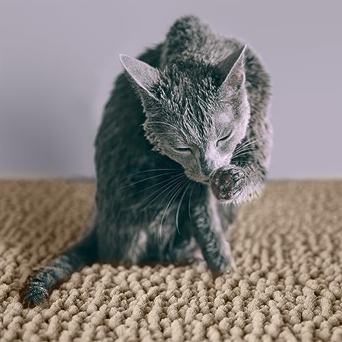 CatGuru Cat Litter Mat, Medium, Extra Large, XXL, Super Absorbent and Waterproof Litter Box Mat for Cats, Non Slip Trapping Mats, Machine Washable Kitty Trapping Pad, Cat Stuff (XL, Sand/Heavy-Duty)