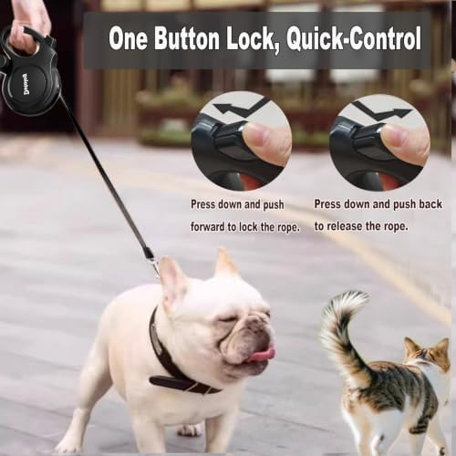 Retractable Dog Leash,16ft Retractable Lead with Bungee Leads for 2 Dogs,Double Leash with Dog Safety Harness Buckle, Extendable Lead 5m for Medium Large Dogs (Black, 5m)