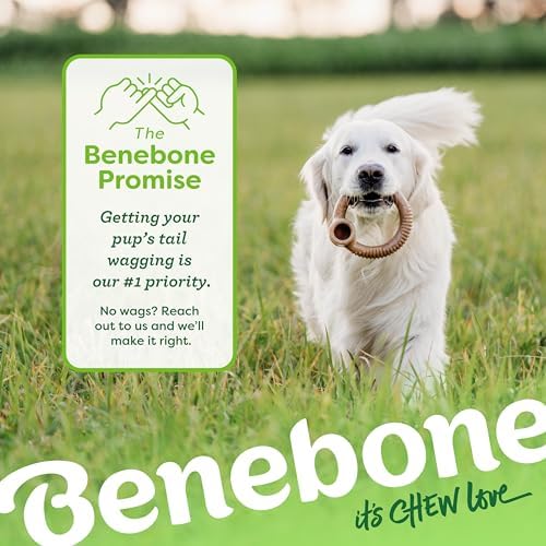 Benebone Ring Durable Dog Chew Toy for Aggressive Chewers, Real Bacon, Made in USA, Large (Pack of 2)