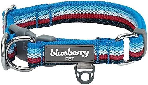 Blueberry Pet Dual D-Ring Safety Dog Collar | Adjustable Nylon Collar with Multicolor Stripes in Azure Blue and Raspberry Red| Durable Collar Size Small for Large Breeds