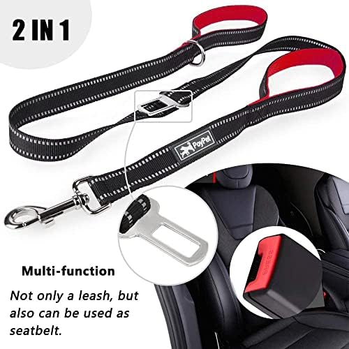 PoyPet 5 Feet Dog Leash with 2 Cushioned Handles (Red)