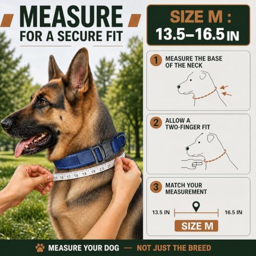Tactical Dog Collar with Handle, Heavy Duty Nylon for Medium Dogs