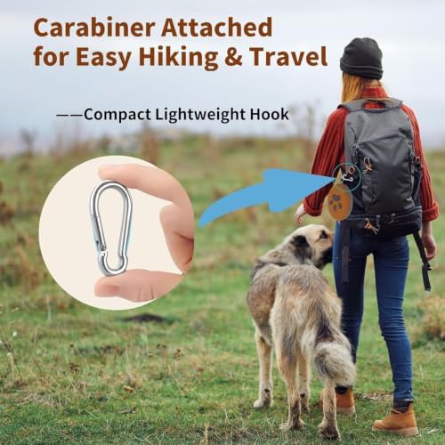 2-in-1 Collapsible Dog Travel Bowl Portable Silicone Carabiner