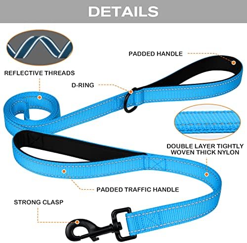 Joytale Dog Leash for Large Dogs that Pull, Double Handle, 6FT, Aqua Blue