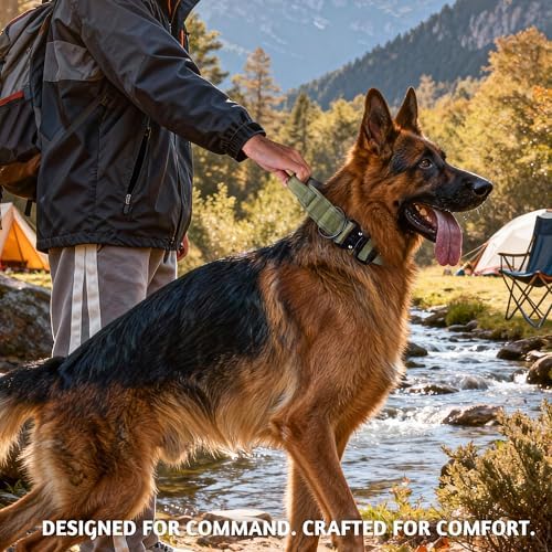 Tactical Dog Collar with Control Handle & AirTag Holder Pink