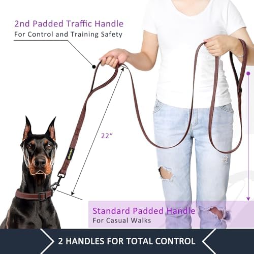 Plutus Pet Double Handle Dog Leash, 6 FT Long, for Medium Large Dogs