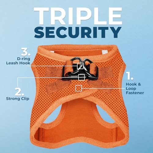 Best Pet Supplies Voyager Step-in Air All Weather Mesh Harness and Reflective Dog 5ft Leash Combo with Neoprene Handle, for Small, Medium and Large Breed Puppies - Orange, XXX-Small