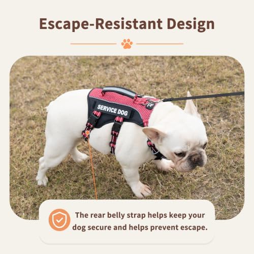 Huntboo Service Dog Vest Harness, Escape Proof Harness with 6 Patches, No-Pull, Reflective Harness with Handle, Adjustable for Small to Large Dogs, for Training and Hiking (Red, S)