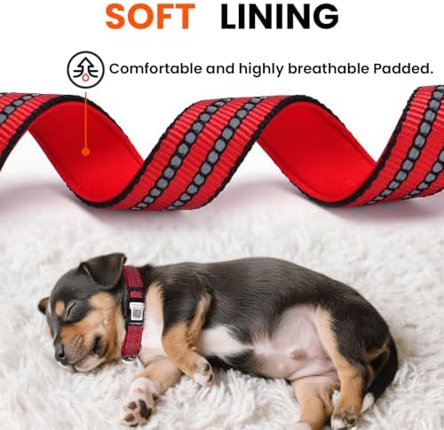 Personalized Dog Collar with QR Code Dog Tag, Red S