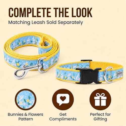 THE WORTHY DOG Summer Print, Adjustable Dog Collar,Medium Dogs, Bunnies