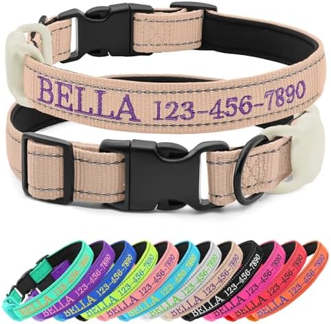 Personalized Nylon Dog Collar with Embroidered Name, Beige