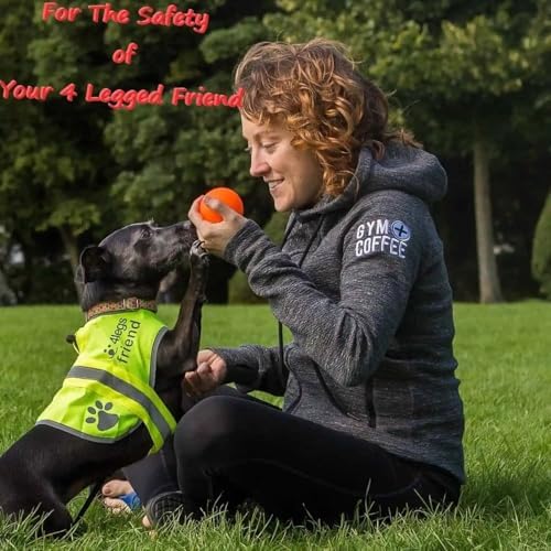 Safety Reflective Vest for Dogs - High Visibility for Outdoor Activity Day and Night, Protect Your Pet from Cars & Hunting Accidents