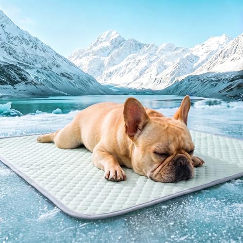 PatiencET Dog Cooling Mat, 22 x 28 in No-Gel Cooling Pad for Small Dogs, Puppies and Cats, Cool Touch Pet Mat with Ice-Dot Texture, Washable Summer Crate Pad for Floor, Sofa, Car, Light Green