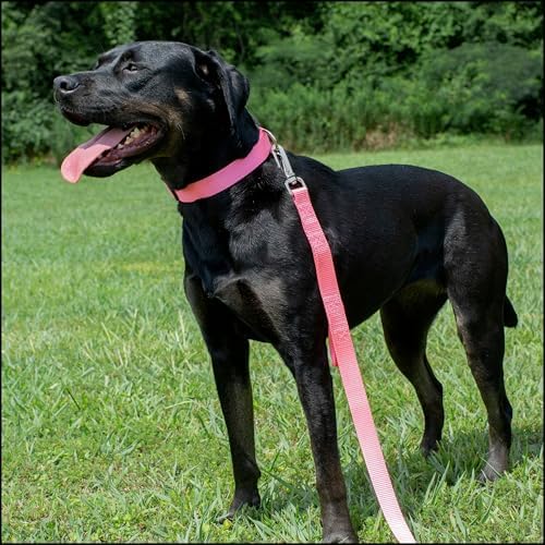 Country Brook Petz - Everyday Nylon Dog Collar for Large, Medium, and Small Dogs and Puppies - for Everyday Use in 30+ Colors (Extra Large, 1 Inch Wide, Pink)