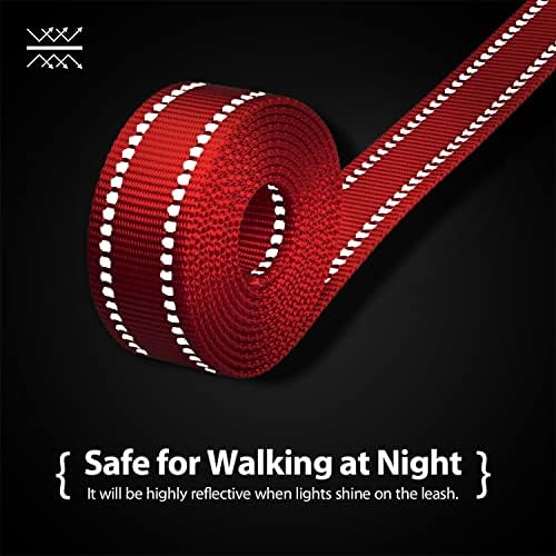 PHOEPET 5 Feet Dog Leash - Dual-Side Reflective - Soft Padded Handle