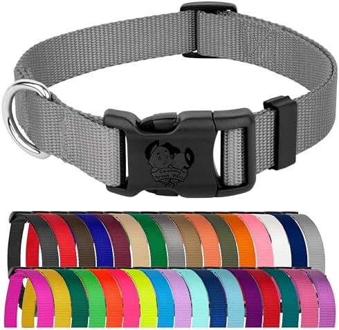 Country Brook Petz - Everyday Nylon Dog Collar for Large, Medium, and Small Dogs and Puppies - for Everyday Use in 30+ Colors (2XS, 3/8 Inch Wide, Silver)