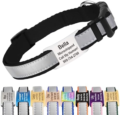 GoTags Reflective Dog Collar with Personalized Nameplate, Collar Tag Combo