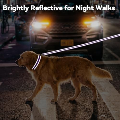 Joytale Personalized Dog Collar with Name Plate Built-in for Large Dogs