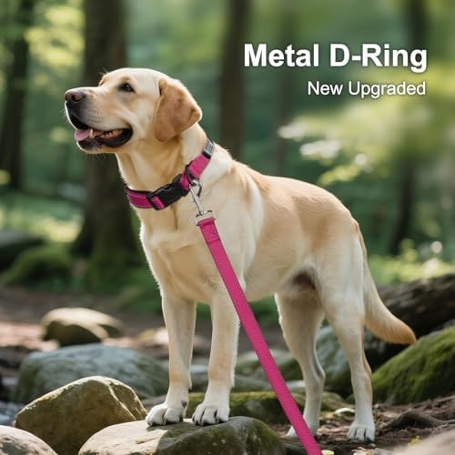 Joytale Personalized Dog Collar with Name Plate Built-in for Medium Dogs