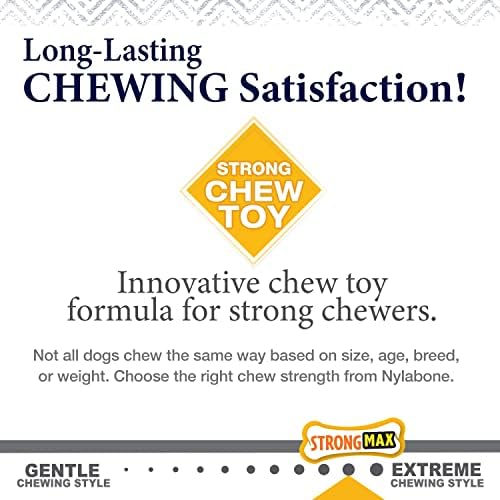Nylabone Strong Chew Gourmet Style Wishbone Dog Chew Toy, Bacon Flavor