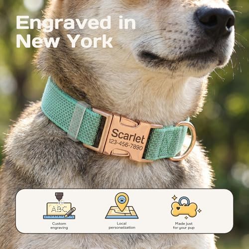 Custom Dog Collar with Name and Phone Number
