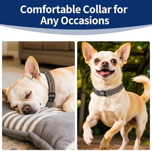 Kazazoo Small Dog Collar,Reflective Puppy Collar with Soft Padding Dog Collar No Pull,Lightweight, Nylon Collar for Puppies, Chihuahua, Yorkie & Teacup Dog 3-10 Lbs camo-XS