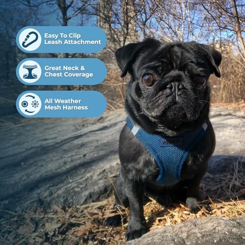 Best Pet Supplies Voyager Step-in Air All Weather Mesh Harness and Reflective Dog 5ft Leash Combo with Neoprene Handle, for Small, Medium and Large Breed Puppies - Blue, XXX-Small