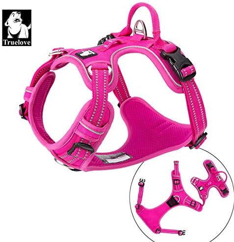 WINHYEPET True Love No Pull Dog Harness Extra Reflective Pet Harness for Small Medium Large Dogs Adjustbale for Running Walking Padded Soft Mesh Vest Easy Control TLH56512(Fushcia,M)