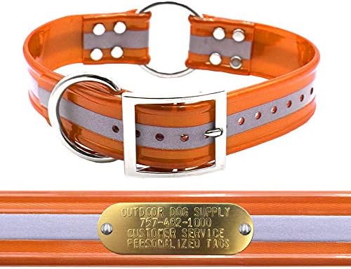 Reflective D & Center Ring 1.5" Dog Collar w Custom Nametag, Orange