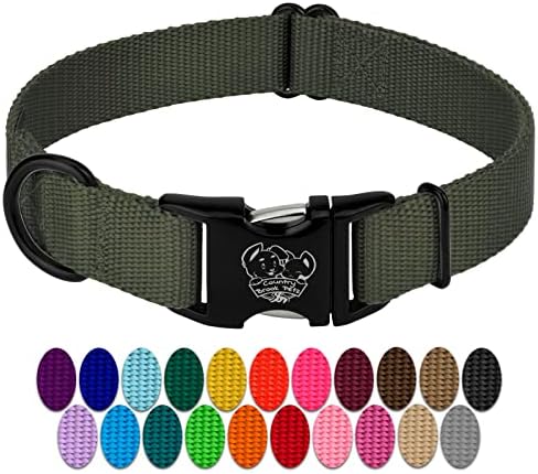 Country Brook Petz - Premium Nylon Dog Collar with Metal Buckle for Small Medium Large Breeds - 30+ Colors (Small, 3/4 Inch, Dark Olive Drab)