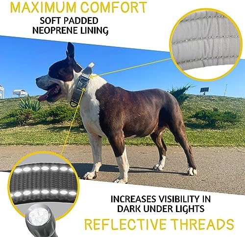 ADITYNA Heavy Duty Dog Collar for Large Dogs with Traffic Handle