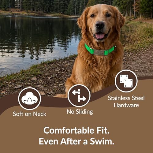 dogIDs Personalized Quick Release Waterprooft ScruffTag Dog Collar - Built-in Custom Laser Engraved Nameplate, Odor Resistant - Green, 1 in x 13-18 in (Fits Neck Sizes: 13-18 in)