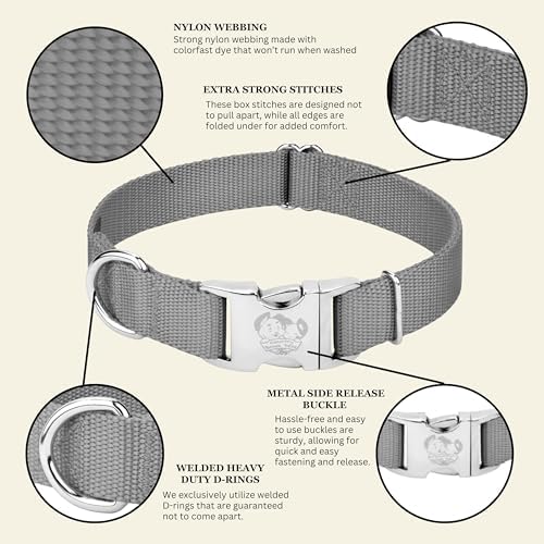 Country Brook Petz - Premium Nylon Dog Collar with Metal Buckle for Small Medium Large Breeds - 30+ Colors (Large, 1 Inch, Silver)