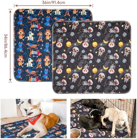 Paw Legend Washable Reusable Dog Pee Pads Super Absorbent (2 Pack) - Washable Reusable Puppy Training Pads | Quality Travel Pee Pads for Dogs | Absorbent and Odor Controlling