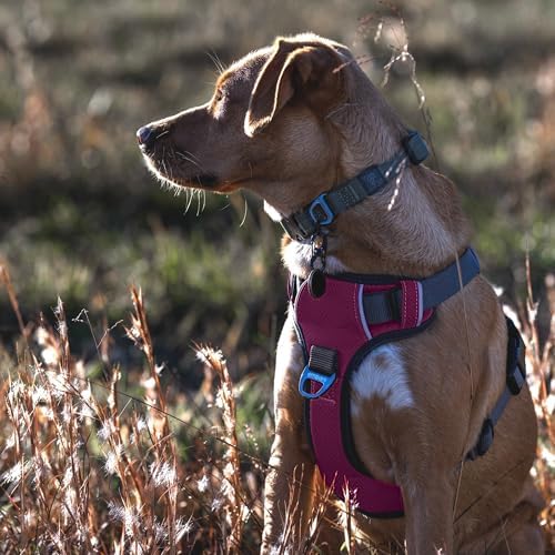 Embark No Pull Dog Harness, Reflective Adjustable Training Vest, No Choke