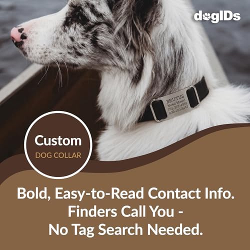 dogIDs Personalized Quick Release Waterprooft ScruffTag Dog Collar - Built-in Custom Laser Engraved Nameplate, Odor Resistant - Black, 3/4 in x 14-18 in (Fits Neck Sizes: 14-18 in)