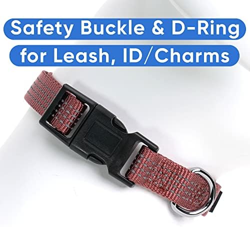Pawtitas Reflective Dog Collar for X-Small Dogs – Adjustable Nylon Puppy Collar with Quick-Release Buckle | Fits Neck 8–13 in | Night Safety Training Collar | XS | Marsala