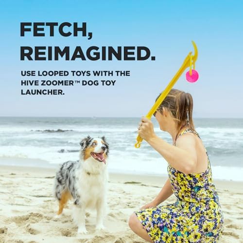 PROJECT HIVE ·PET COMPANY· Looped Ball 2 Pack-SM-Pink/Blue