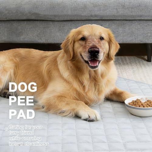 Reusable Puppy Pads Waterproof Washable Puppy Pad 20 x 28-inch Large Dog Puppy Whelping Pet Pee Ded Pad (2 Pack)