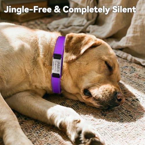 Joytale Personalized Dog Collar with Name Plate Built-in for Large Dogs