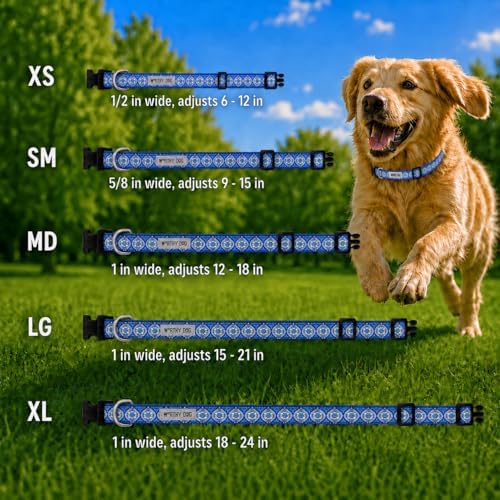 THE WORTHY DOG Summer Print, Adjustable Dog Collar, Small Dogs, Medallion