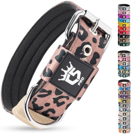 TSPRO Heavy Duty Thick Dog Collar with Metal Buckle for Small Dogs