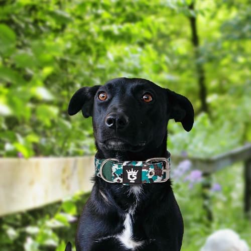 TSPRO Heavy Duty Thick Dog Collar with Metal Buckle for Small Dogs